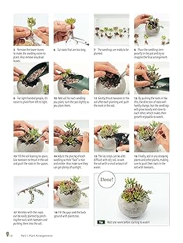 Growing Succulents: A Pictorial Guide (Over 1,500 photos and